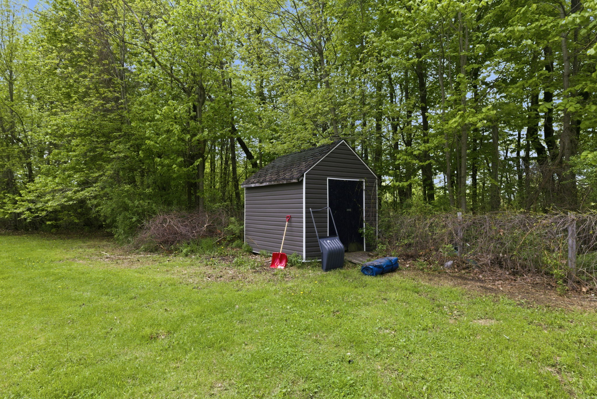  Photo 12