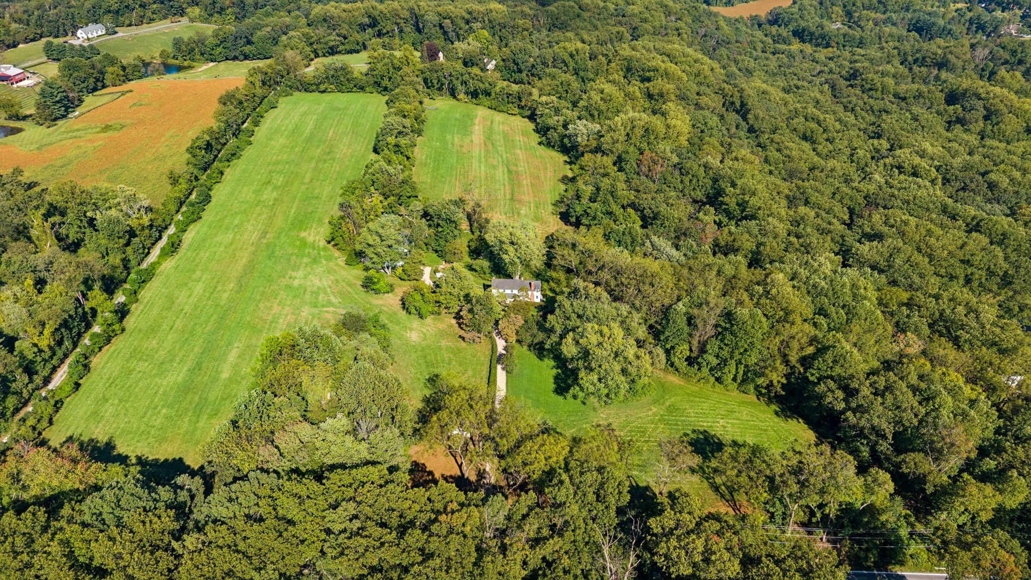 Monkton 5