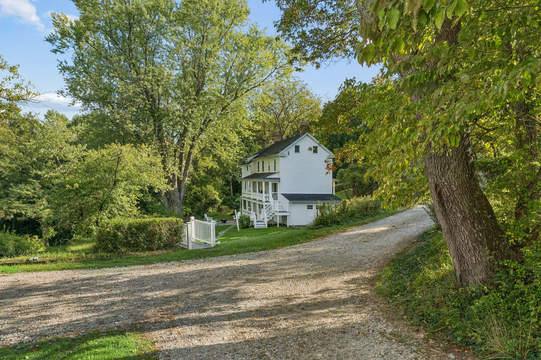 Monkton 85
