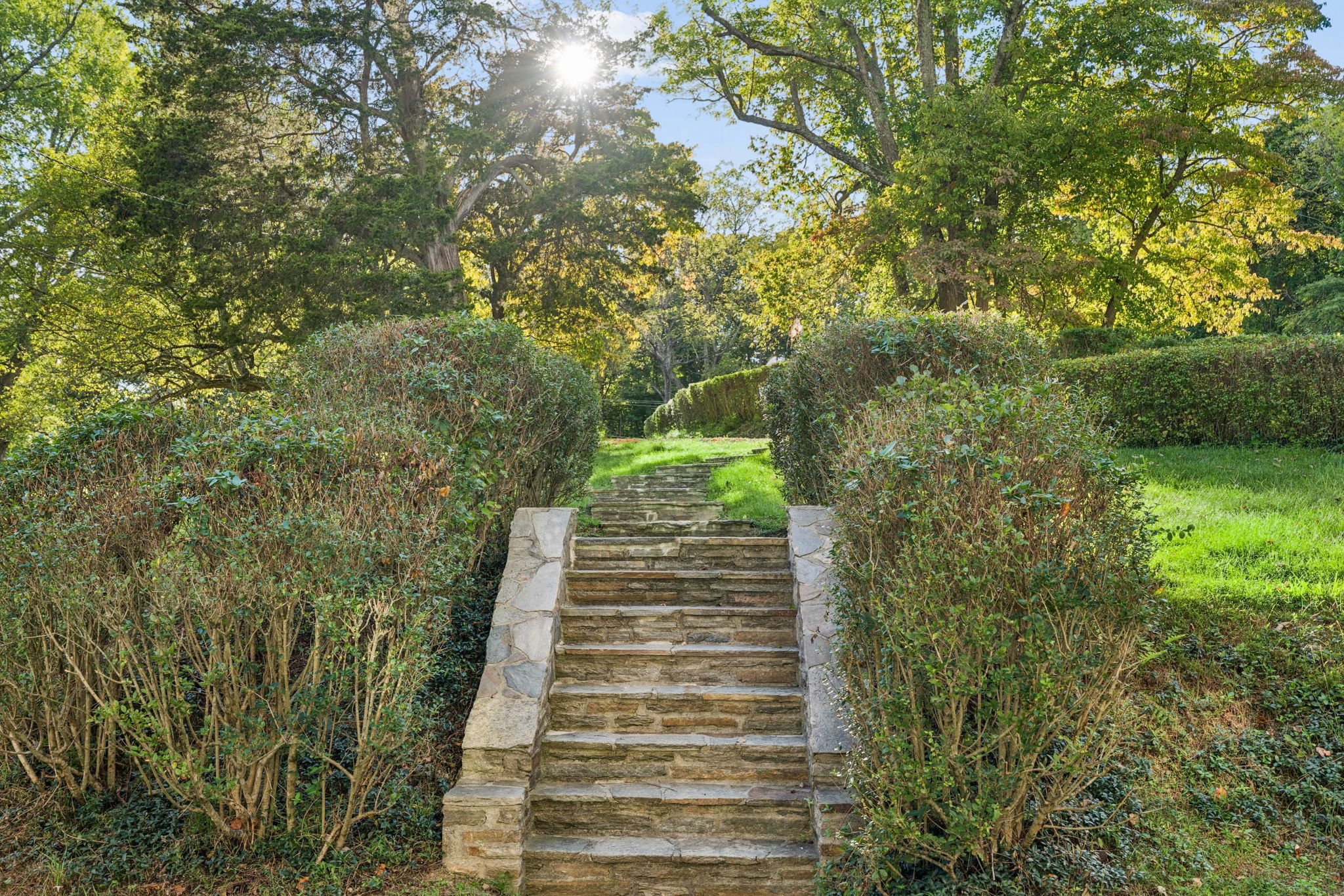 Monkton 109