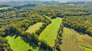 Monkton 1