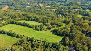 Monkton 3
