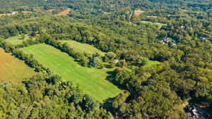 Monkton 4