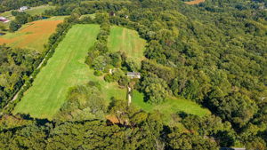 Monkton 5