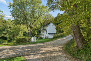 Monkton 85