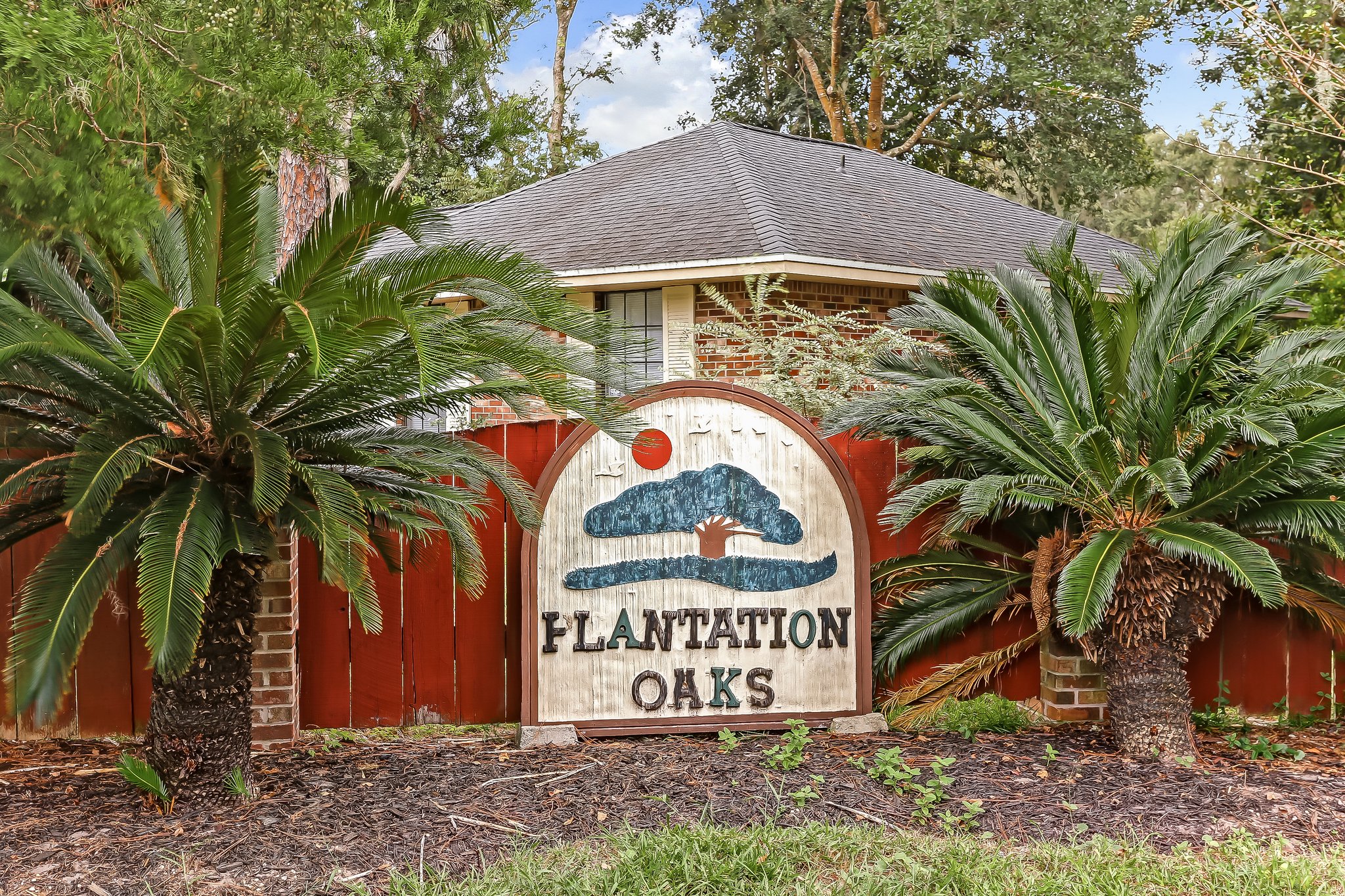 Plantation Oaks