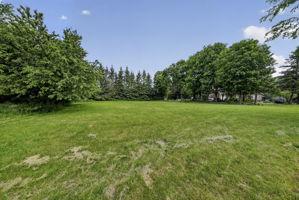  Photo 59