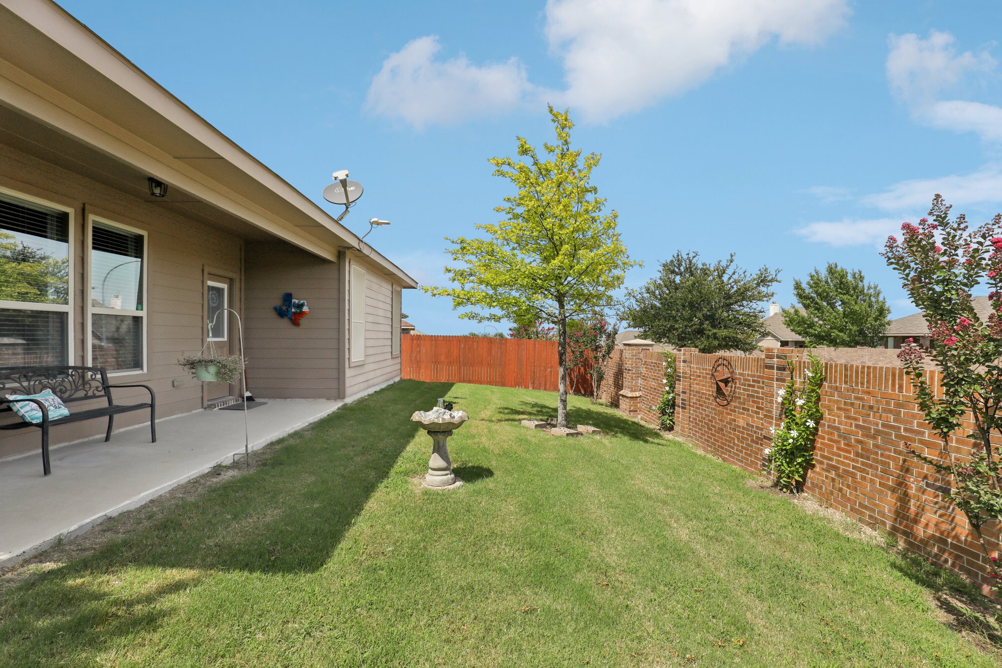 Rabbit Brush Ln-S1807-027.jpg