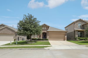 Rabbit Brush Ln-S1807-001.jpg