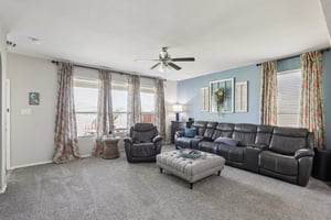 Rabbit Brush Ln-S1807-005.jpg