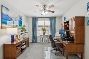 Rabbit Brush Ln-S1807-014.jpg