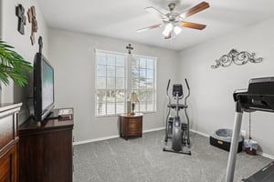 Rabbit Brush Ln-S1807-016.jpg