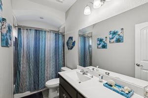 Rabbit Brush Ln-S1807-017.jpg