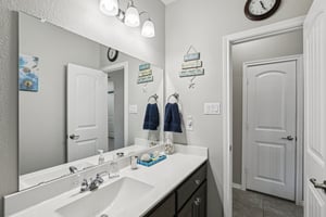 Rabbit Brush Ln-S1807-018.jpg