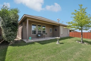 Rabbit Brush Ln-S1807-026.jpg