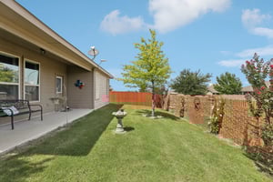 Rabbit Brush Ln-S1807-027.jpg