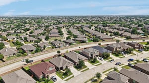 Rabbit Brush Ln-S1807-034.jpg