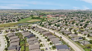 Rabbit Brush Ln-S1807-035.jpg