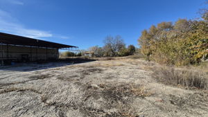 PICS FROM LOT AT SEAGOVILLE RD  (14)