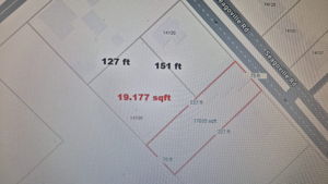 PICS FROM LOT AT SEAGOVILLE RD  (21)