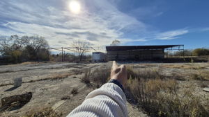 PICS FROM LOT AT SEAGOVILLE RD  (22)