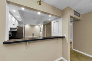 Kitchen Counter 1