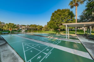 11-Shuffleboard