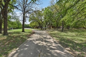 Eagle Trl-S0104-071.jpg