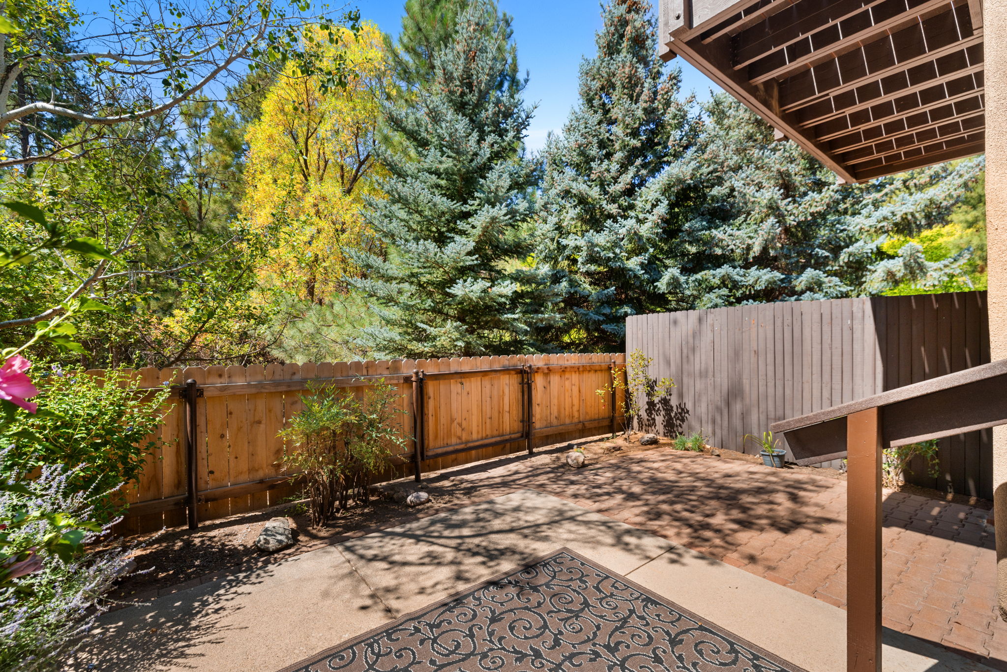 Backyard (1)