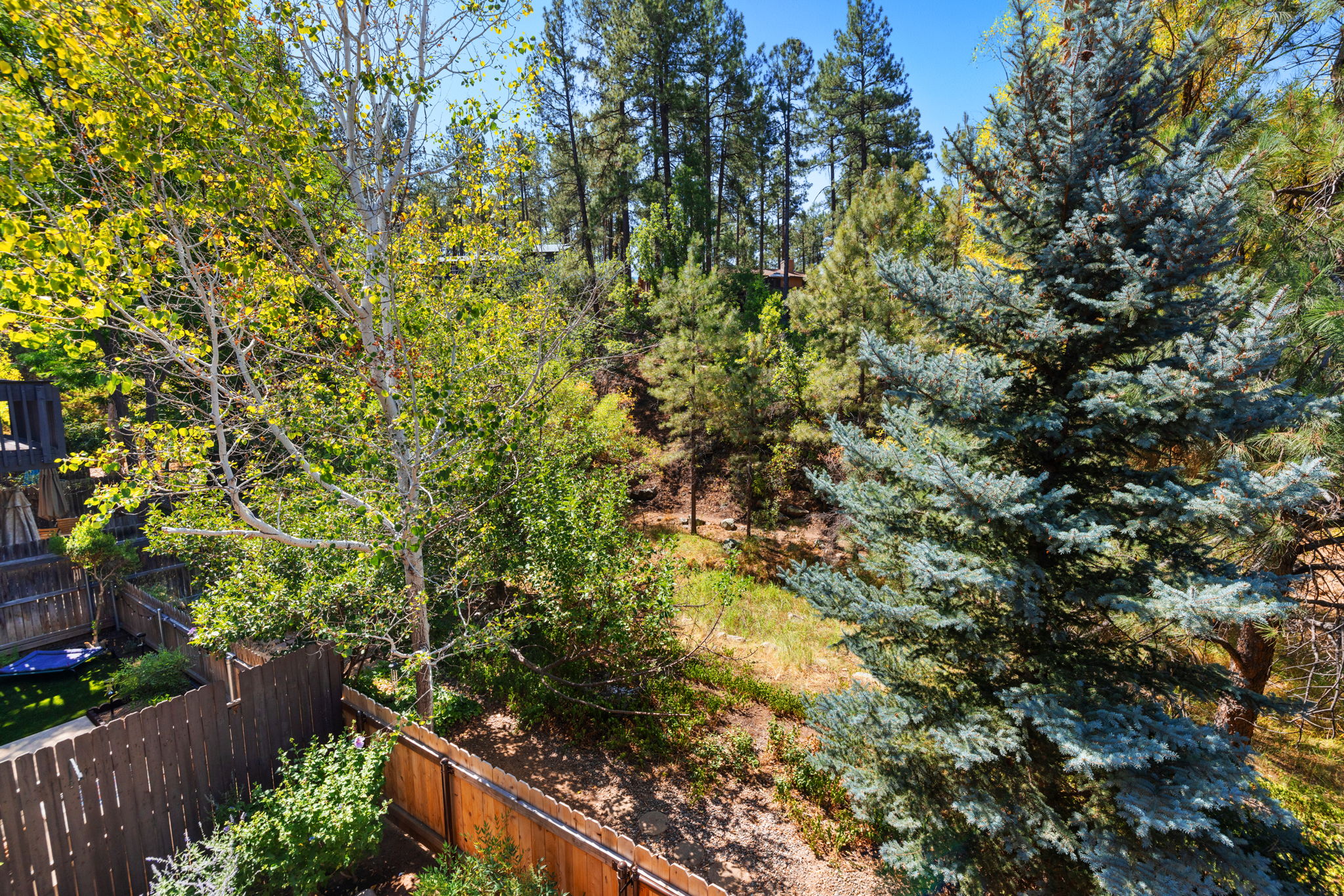 Deck View
