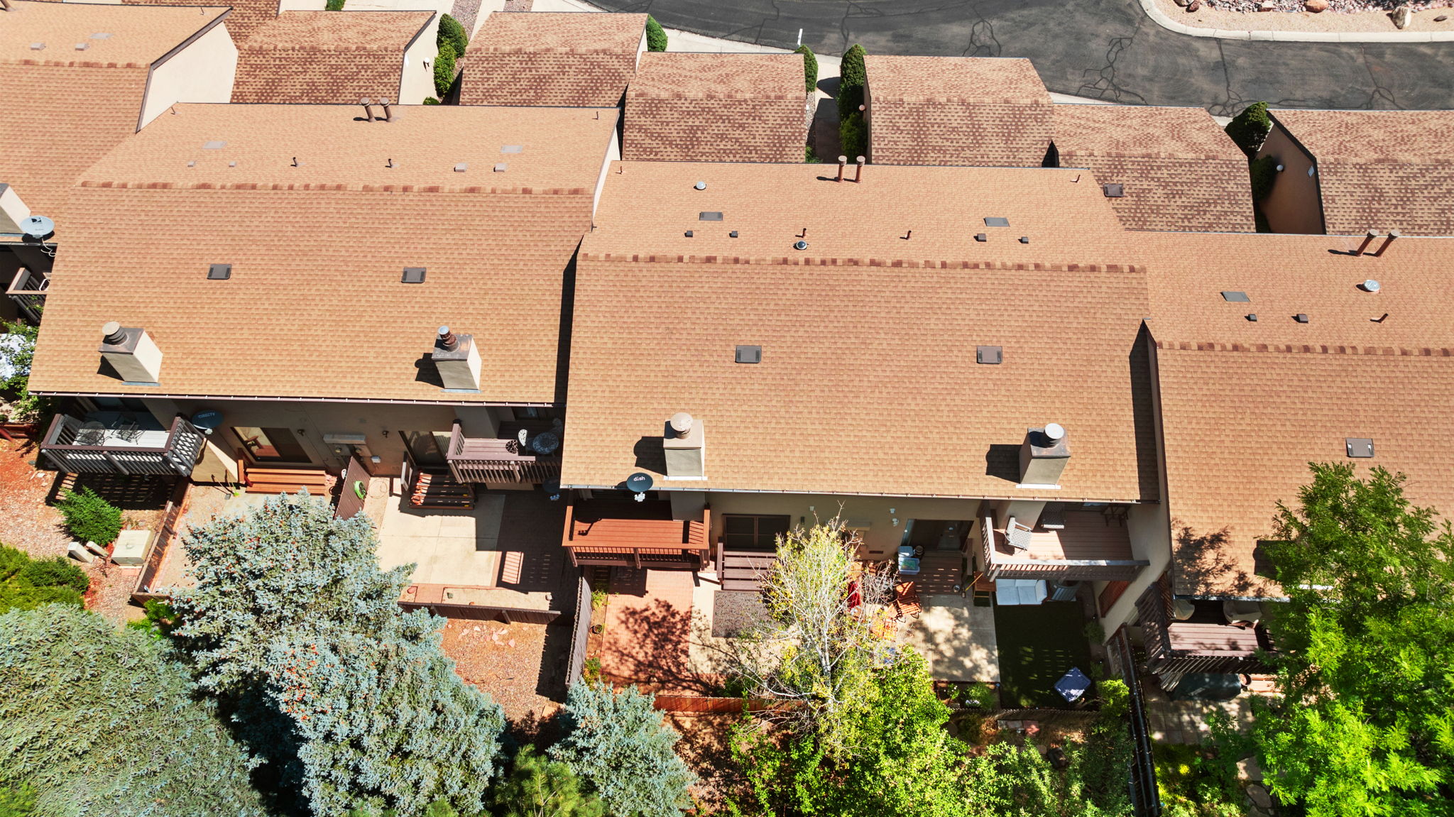 Birds Eye