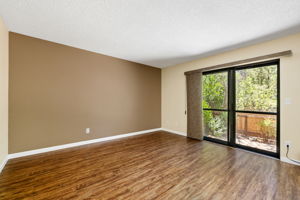 Living Room_2