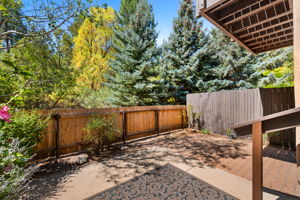 Backyard (1)