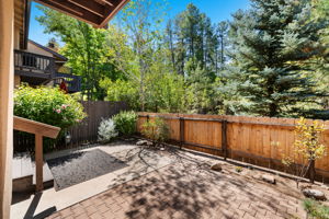 Backyard (3)