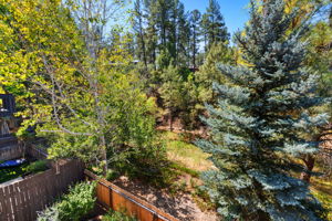 Deck View