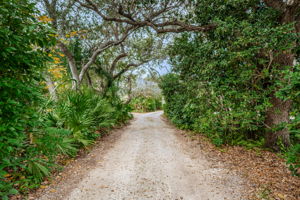 Driveway Entrance1