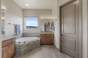 Primary Bathroom (2)