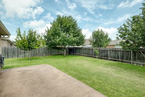 Patio/Back Yard