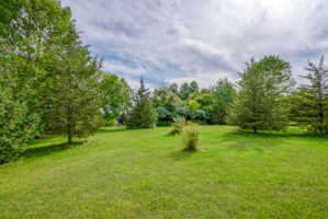 14160 County Rd 2, Cramahe, ON K0K 1H0, Canada Photo 48