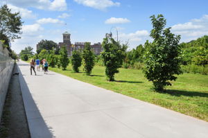  Photo 51