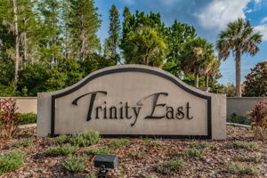 18-Trinity East
