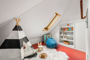  Photo 52