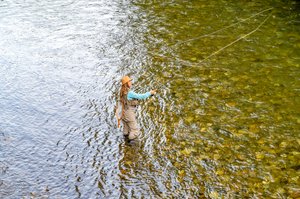  Photo 46