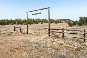 June Ln-S0505-024.jpg