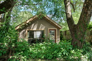  Photo 41