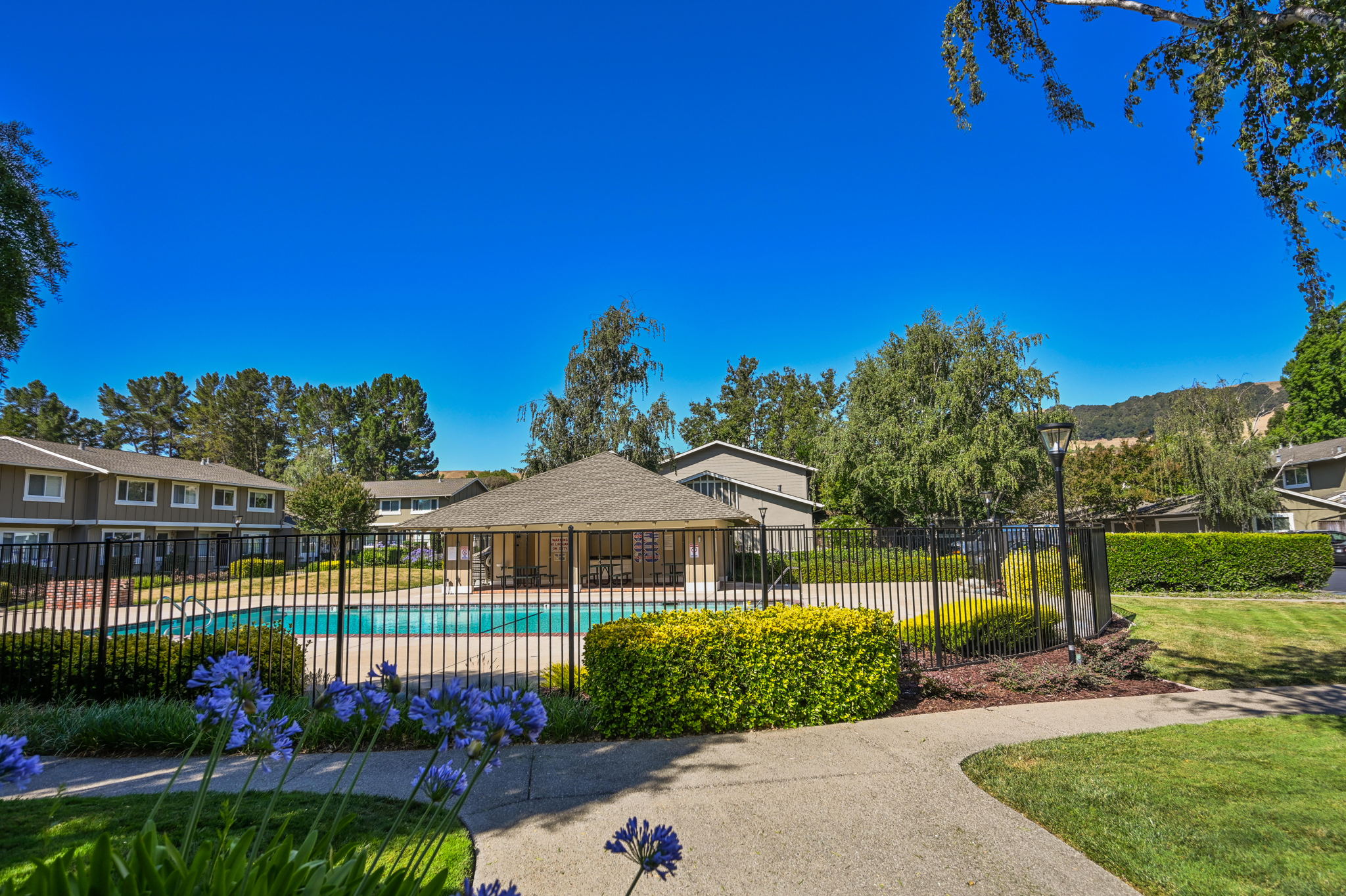 142 Summerside Cir, Danville, CA 94526, USA Photo 23
