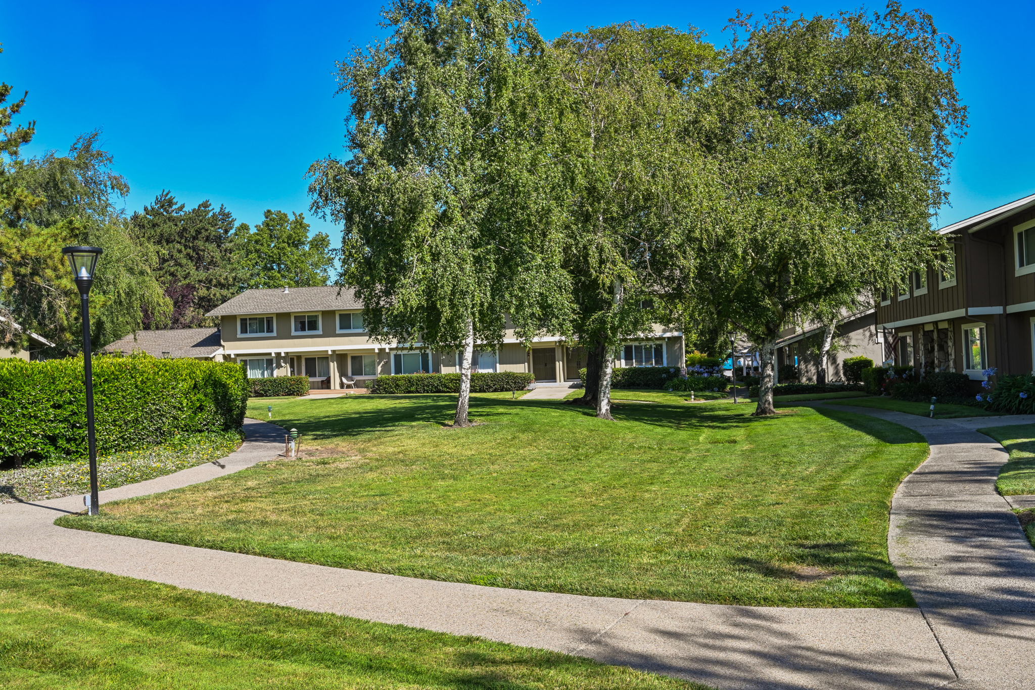 142 Summerside Cir, Danville, CA 94526, USA Photo 24