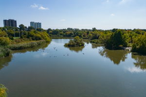  Photo 47