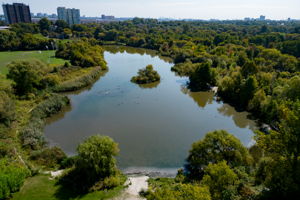  Photo 48