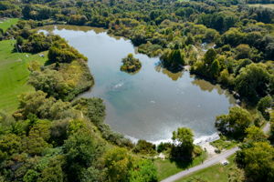  Photo 49